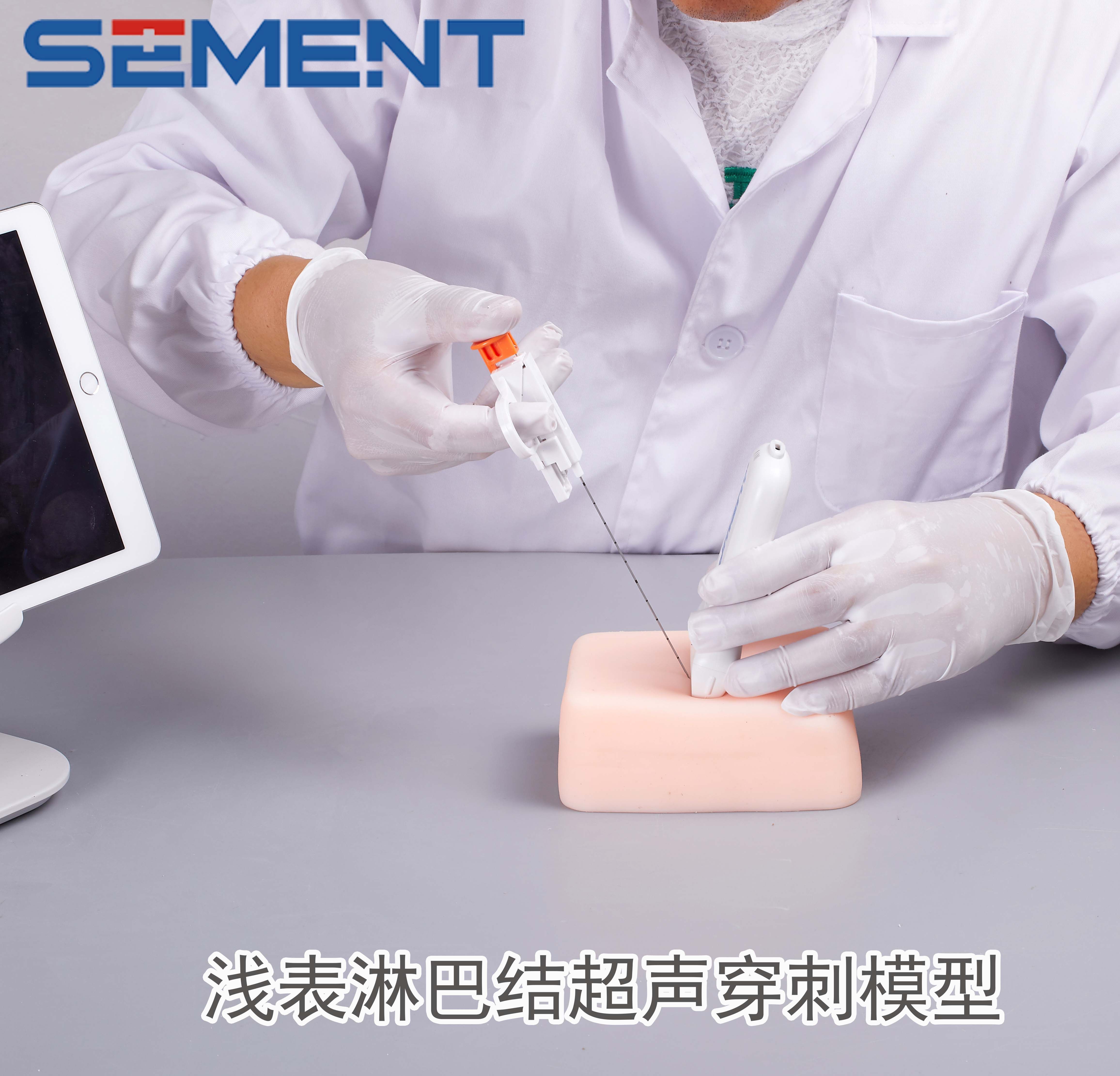 甲状腺超声穿刺模型细针穿刺结节活检淋巴结浅表采集消融医学院校