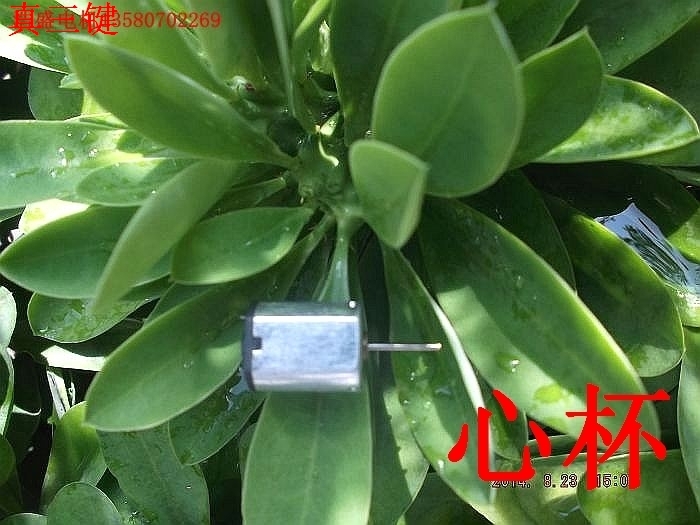 Micro-motor high speed N20 motor 3v 15000 rpm long shaft strong magnetic DC motor-Taobao