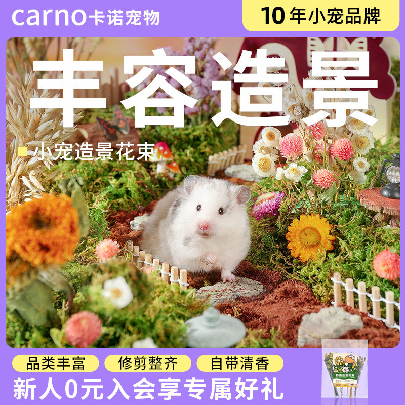 Photo inspiration: Visual Reference: Complete Guide To Decorating Your Kanro Hamster Cage Creating A