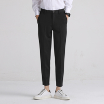New Korean slim small feet casual pants mens trend anti-wrinkle business hot-free trousers dust-proof nine-point pants