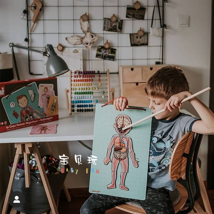 Baby Playing Body Human Organ Cognition Magnetic Puzzle Children Early Lessons Wise Magnetic Toys Cross Border Ins