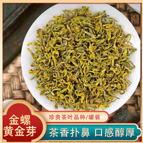 Handmade Golden Snail Golden Bud Alpine buds picked with unique taste 100g canned high-end rare tea