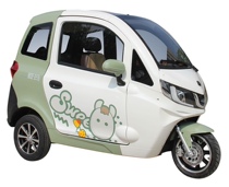 Love Marling Action Love Ma A80 Electric Car Tricycle New National Standard New Energy Closed Car Fluke High-end Leisure Car