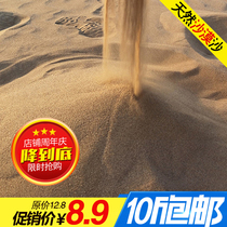 Desert sand childrens park baby toy sand and sand bath surface and scenic turtle hibernation sand 10 kg