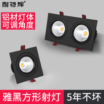 Double-head spotlight led embedded black COB bile light hole light rectangular opening 20*10 grille ceiling light