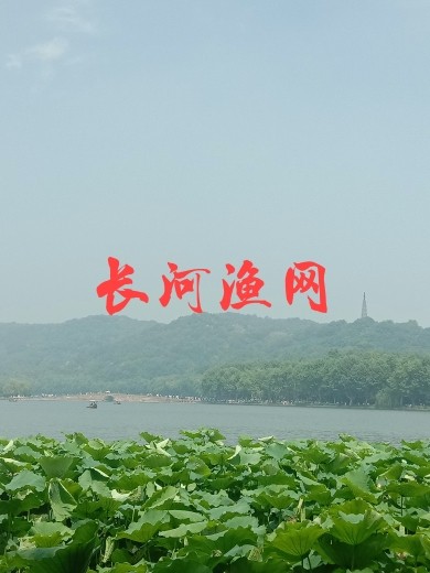 长河渔网