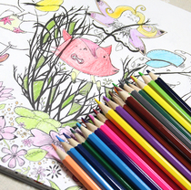 Deli 36 color color pencil coloring coloring secret garden coloring lead art graffiti painting 24 18