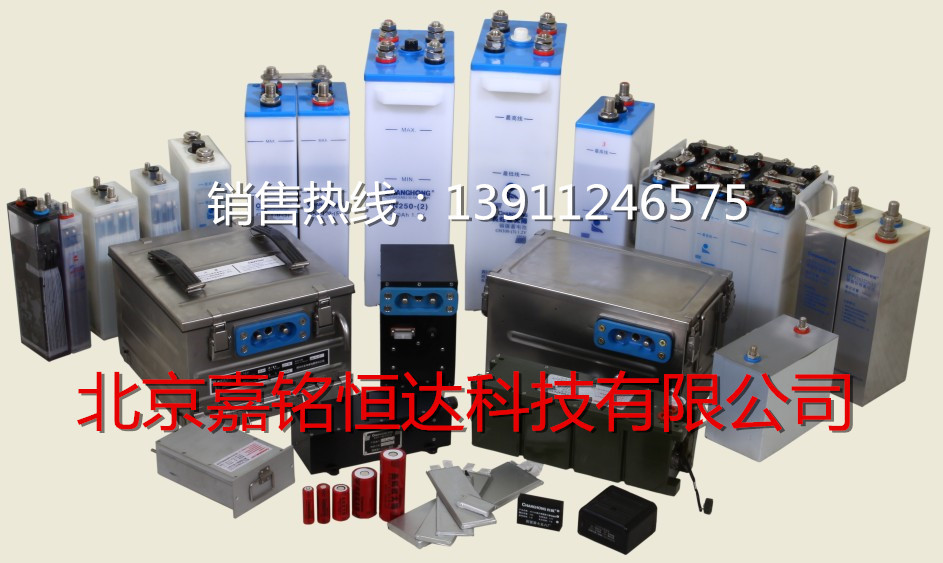 厂家直销袋式碱性镍镉蓄电池 1.2V免维护电池 中 低 高倍率电池