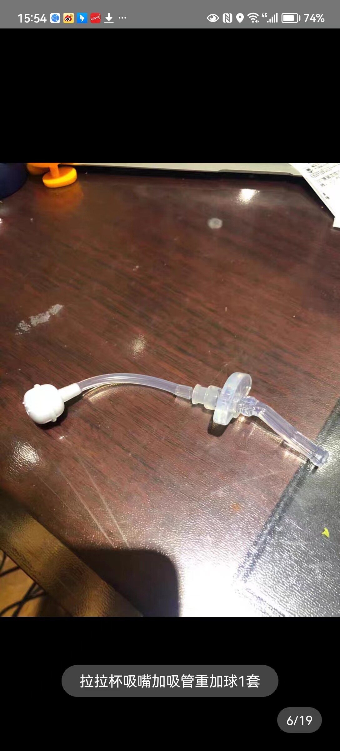 Kumamoto BEAR BENS summer handle suction cup cover accessories forest white bear ocean jade rabbit cup cover