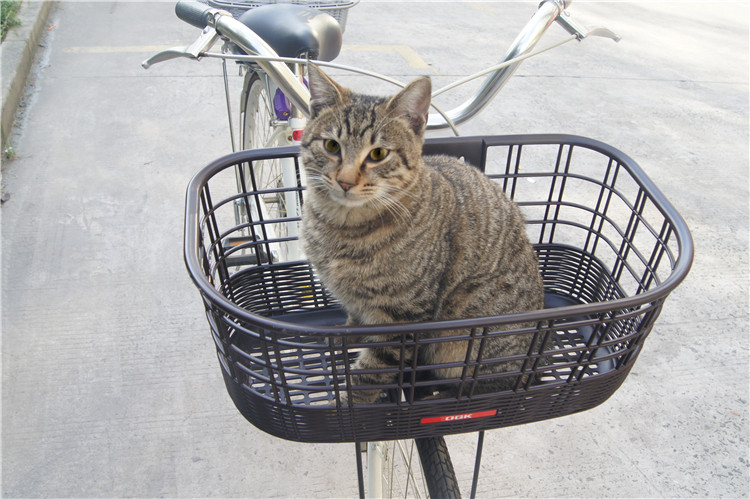 Panier pour vélo en plastique - Ref 2260778 Image 31