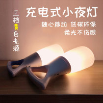 Tent Light Children Outdoor Extra-long Renewal Charging Lighting Camp Hand Horse Light Atmosphere Led Field Camping Light