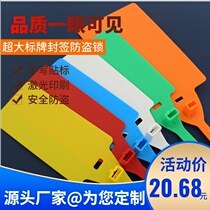 Plastic seal one-time anti-exchange buckle blocking Debang Aneng Logistics Express bundled cable tie sign