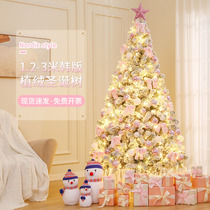 Christmas tree home decoration diy Korean package luminous ornaments 1 5 1 8 2 1 m Christmas scene decoration