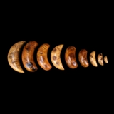 Южный Фуцзянь Хаошан Хайнан ручной работы натуральный бамбук -корень писем чашка бамбука Священная чашка Священная Гексаграмма Гексаграмма Бог 筶茭 Кубок