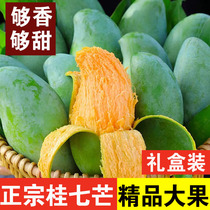 Guangxi Baise Guiqi mango seasonal fresh fruit 10 catties box Tiandonggui 7 mango large fruit non-flowered fruit