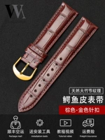 Crocodile Skin-коричневая коричневая линия-золотая штифта