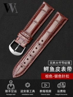 Crocodile Skin-коричневая коричневая линейная серебра точки