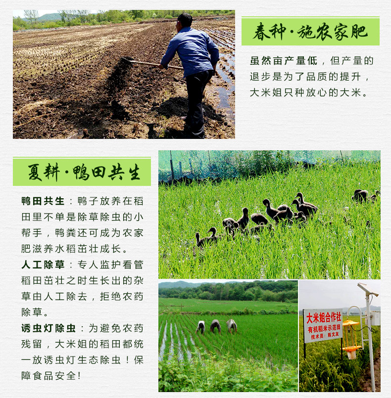 Selenium -Rich Rice Noodse_15.jpg