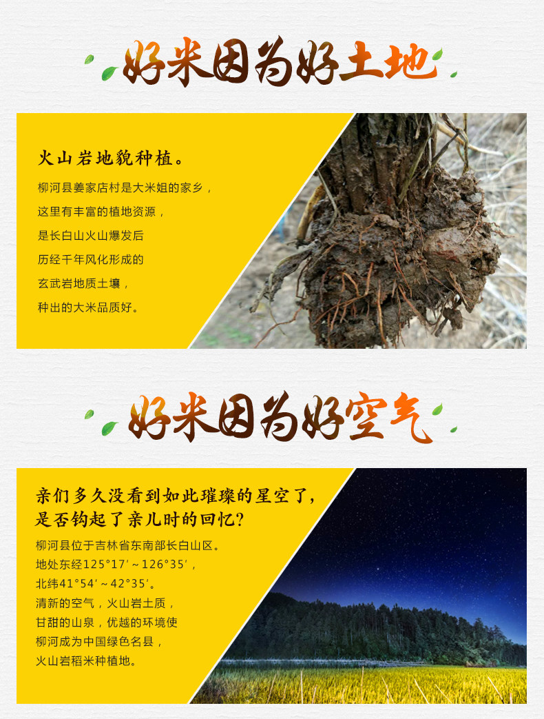 Akita Komachi_05.jpg