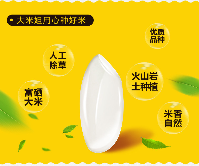 168 Gift Box_04.jpg