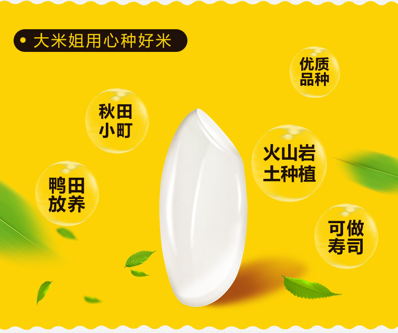 Akada Komachi_04.jpg