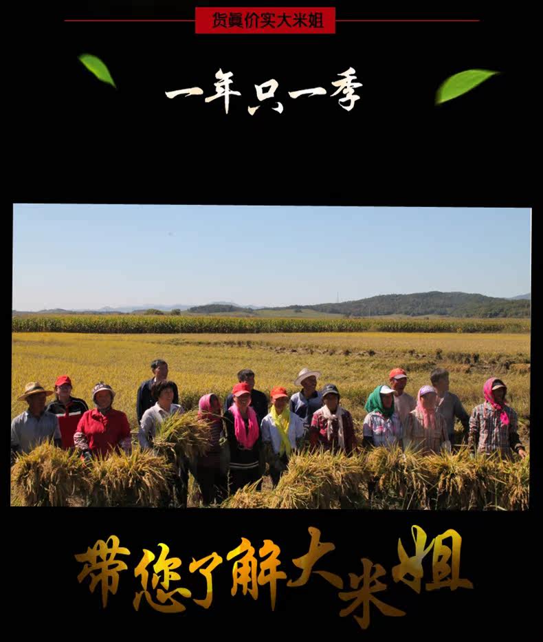 Black Rice_08.jpg