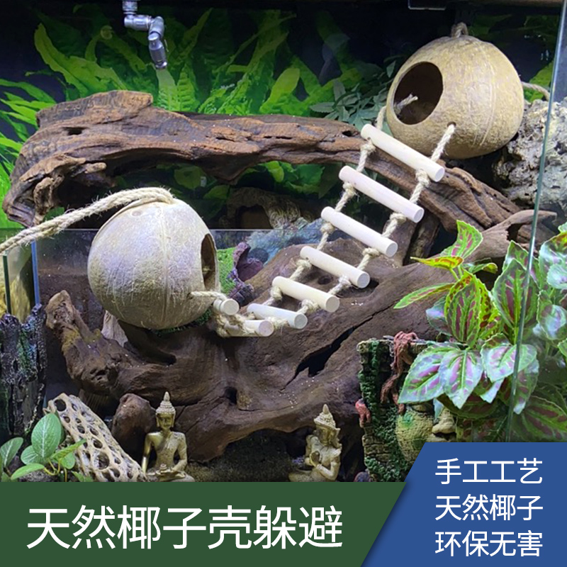 Reptile Shelter From Caves Hidden Natural Coconut Shell Tortoise Shell With Climbing lizard Lizard Keeper spider Lu Sheng to host crab view