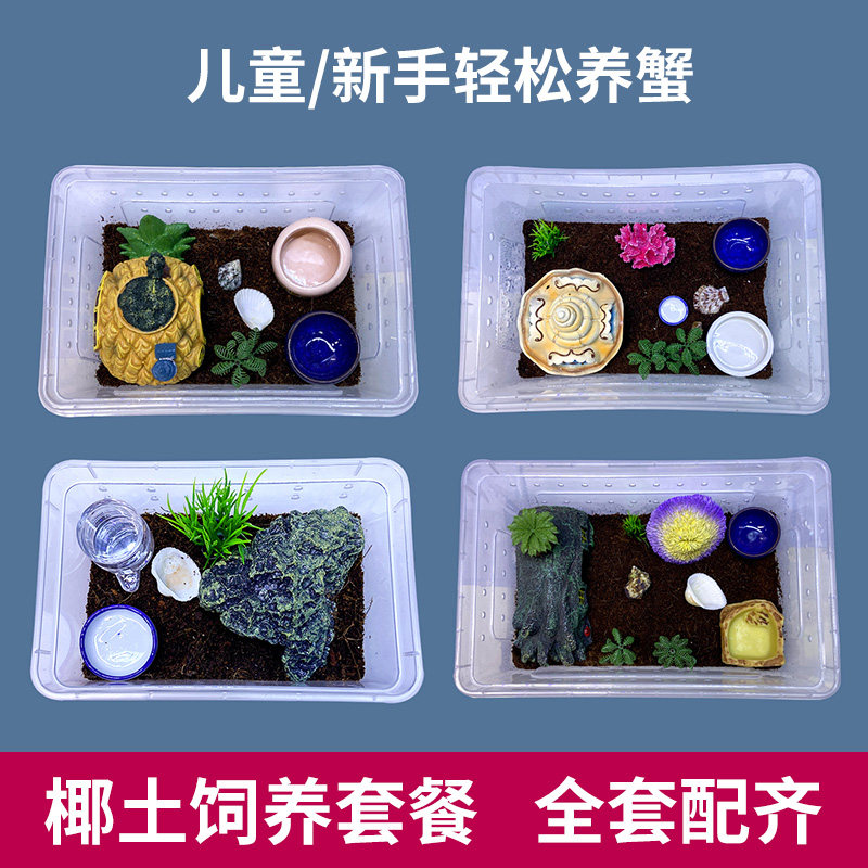 Host Crab New Hands Sloth People Package Breeding Lusheng Pets Climbing and Pets Rearing Box Supplies Small Rearing Boxes