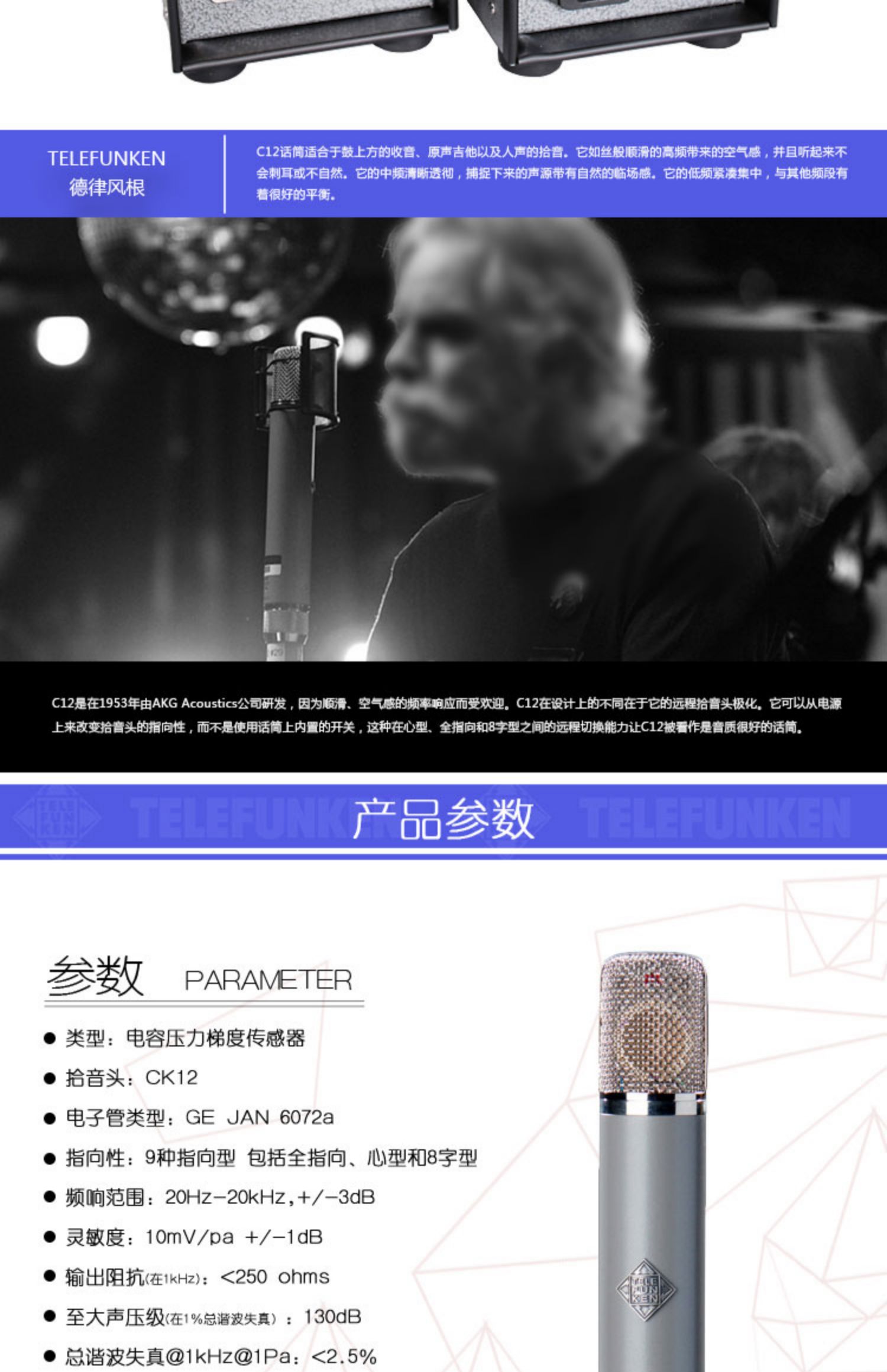 TELEFUNKEN/德律风根 C12 多指向 专业录音棚人声 电子管话筒