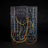 Siwei Electric Hall MOOG MODEL 10 Ограниченная реплика Компактный модульный синтезатор