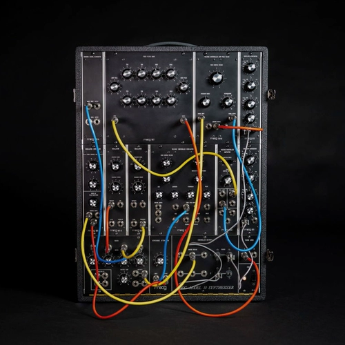 Siwei Electric Hall MOOG MODEL 10 Ограниченная реплика Компактный модульный синтезатор