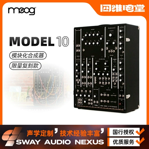 Siwei Electric Hall MOOG MODEL 10 Ограниченная реплика Компактный модульный синтезатор