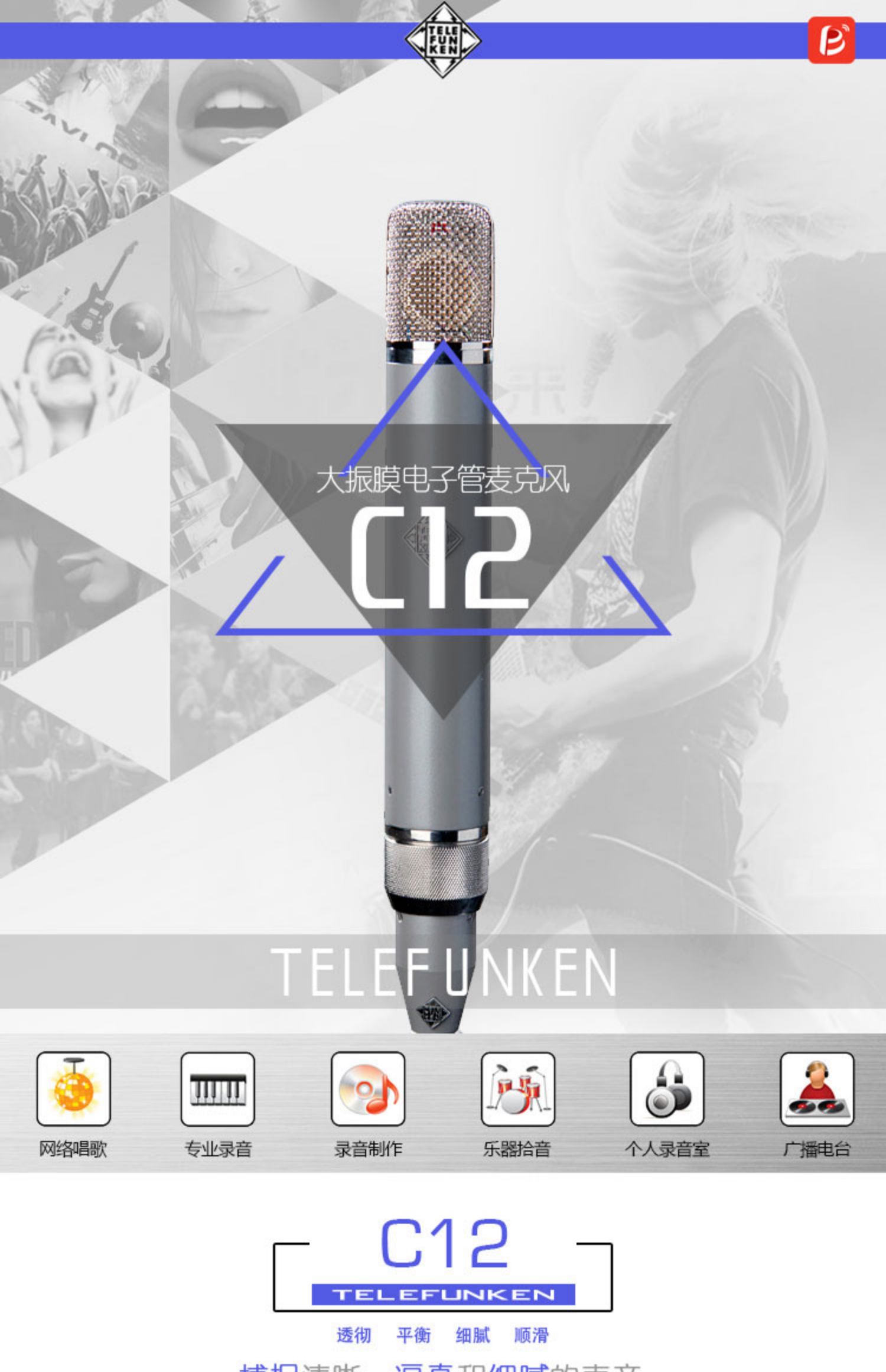 TELEFUNKEN/德律风根 C12 多指向 专业录音棚人声 电子管话筒