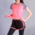 Phiên bản lỏng lẻo của áo thun thể thao nữ chạy bộ thể dục nhanh khô thoáng khí mỏng tay ngắn cổ áo màu cổ áo Quần áo yoga áo polo thể thao nam Áo phông thể thao