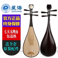 Xinghai Children hai 8901 Người lớn 琵琶 初学 考级 花开 富贵 Nhạc cụ dân tộc cổ cầm và đàn tranh