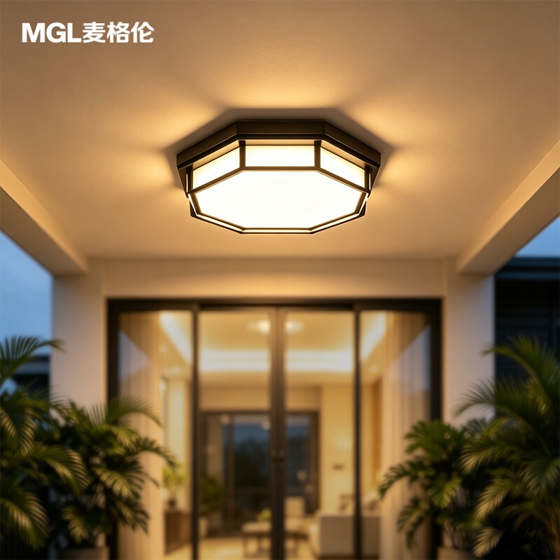 Door Ceiling Light, Outdoor Waterproof Courtyard Entrance Light, Corridor Ceiling Light, Three-Proof Outdoor Balcony Garage Sensor Light