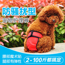 Dog health pants Teddy Golden Retriever health pants small and medium large female dog anti-harassment safety pants pet menstrual pants