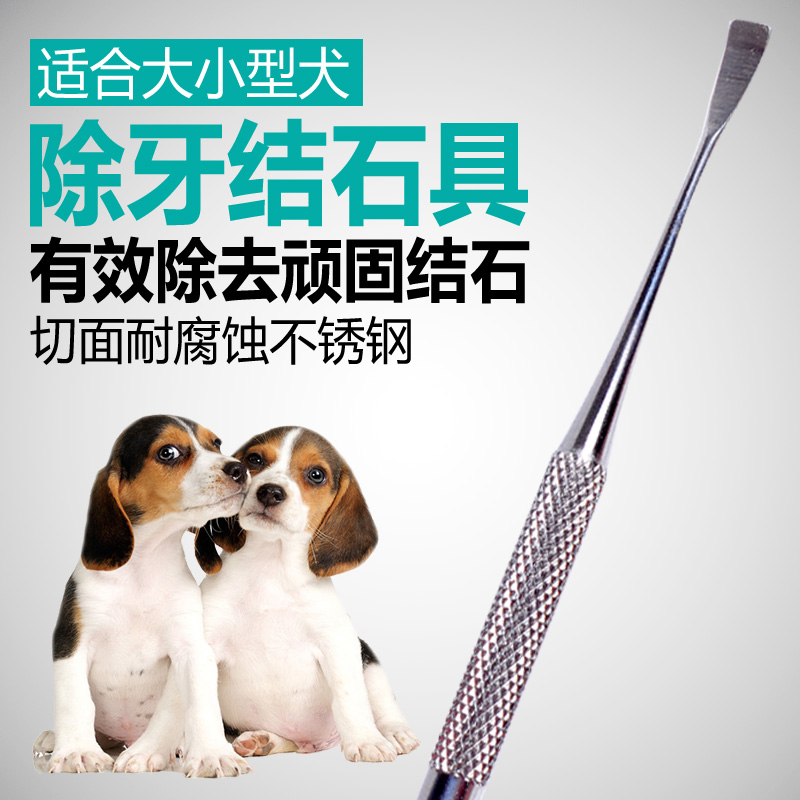 Puppies Teeth Wash pets Teeth Cleaning Knives Teddy Gold Wool Dog Kitty teeth scraping teeth Tooth Picking Knife Hook Tool