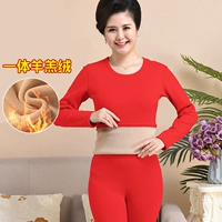 Кружная шея красная (набор)