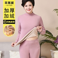 Середина -высокий воротник фиолетовый (набор)