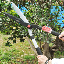 Taiwan imported garden tools horticultural pruning shears fruit trees flowers and trees cut rough branches hedge shears lawn labor saving big scissors