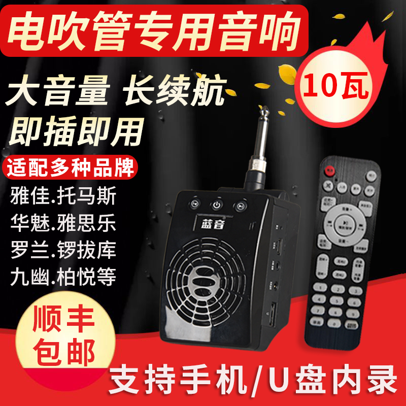 Electric blow pipe straight plug small sound box portable mini elegant Roland Huanenchantment Thomas Bluetooth Neorecording accompaniment guitar-Taobao