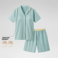 【С стилем чашки】 Женщины | Шорты с короткими рукавами | Отворотный - светло -зеленый