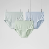 【Высокая талия】 туман синий+белый зеленый+светло -серый