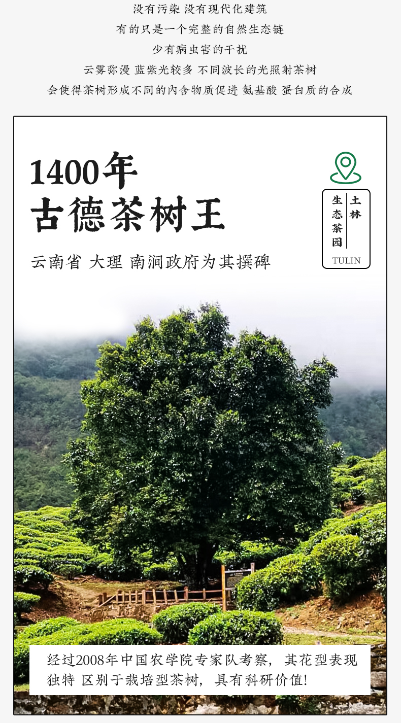云南省重点龙头企业  土林凤凰 匠人 高山普洱熟茶饼 高端礼盒装 280g 图4