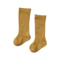 【куркума】