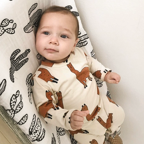 Брендовая небольшая детская хлопковая осенняя альпака, детский лонгслив, боди, популярно в интернете