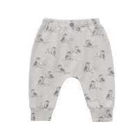 【Попугай】