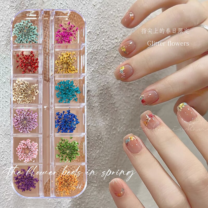 Ultra-Thin Dried Flower Nail Art Accessories Mixed Style Spring Oil Painting Five-Petal Flower ins French Natural Small Floral Nail Art Decorations