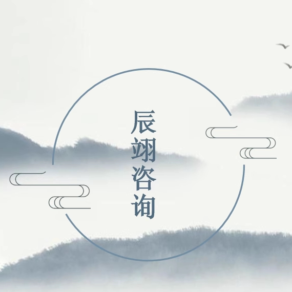 辰翊造价企业店